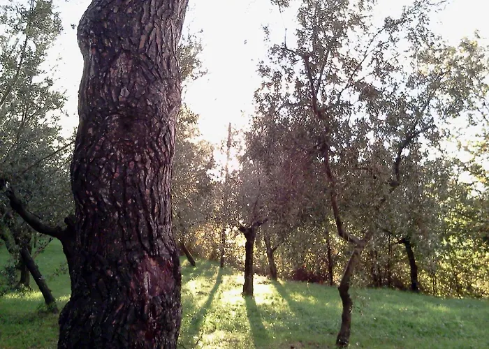 Azienda Agrituristica Il Moraiolo