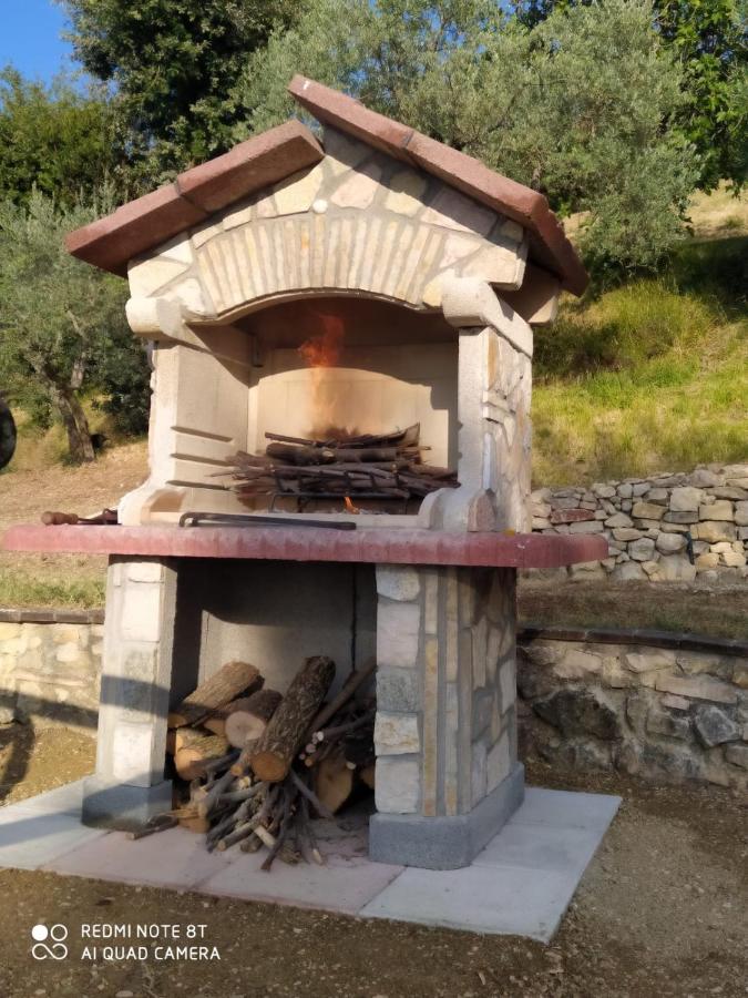 Azienda Agrituristica Il Moraiolo * Foligno