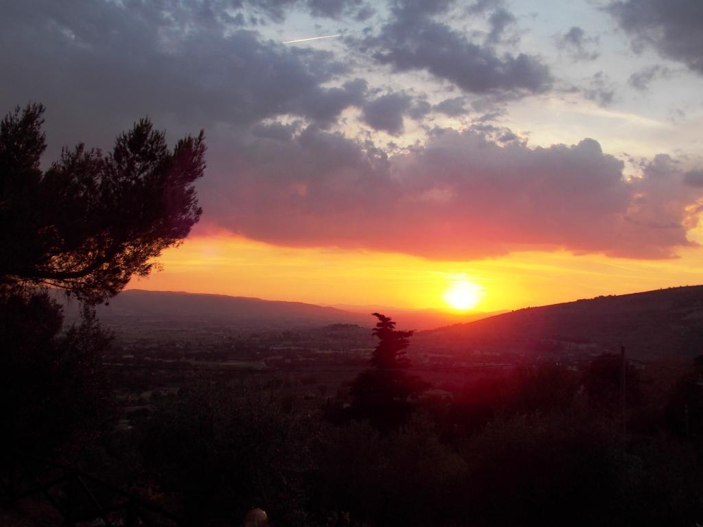 Azienda Agrituristica Il Moraiolo Bauernhof