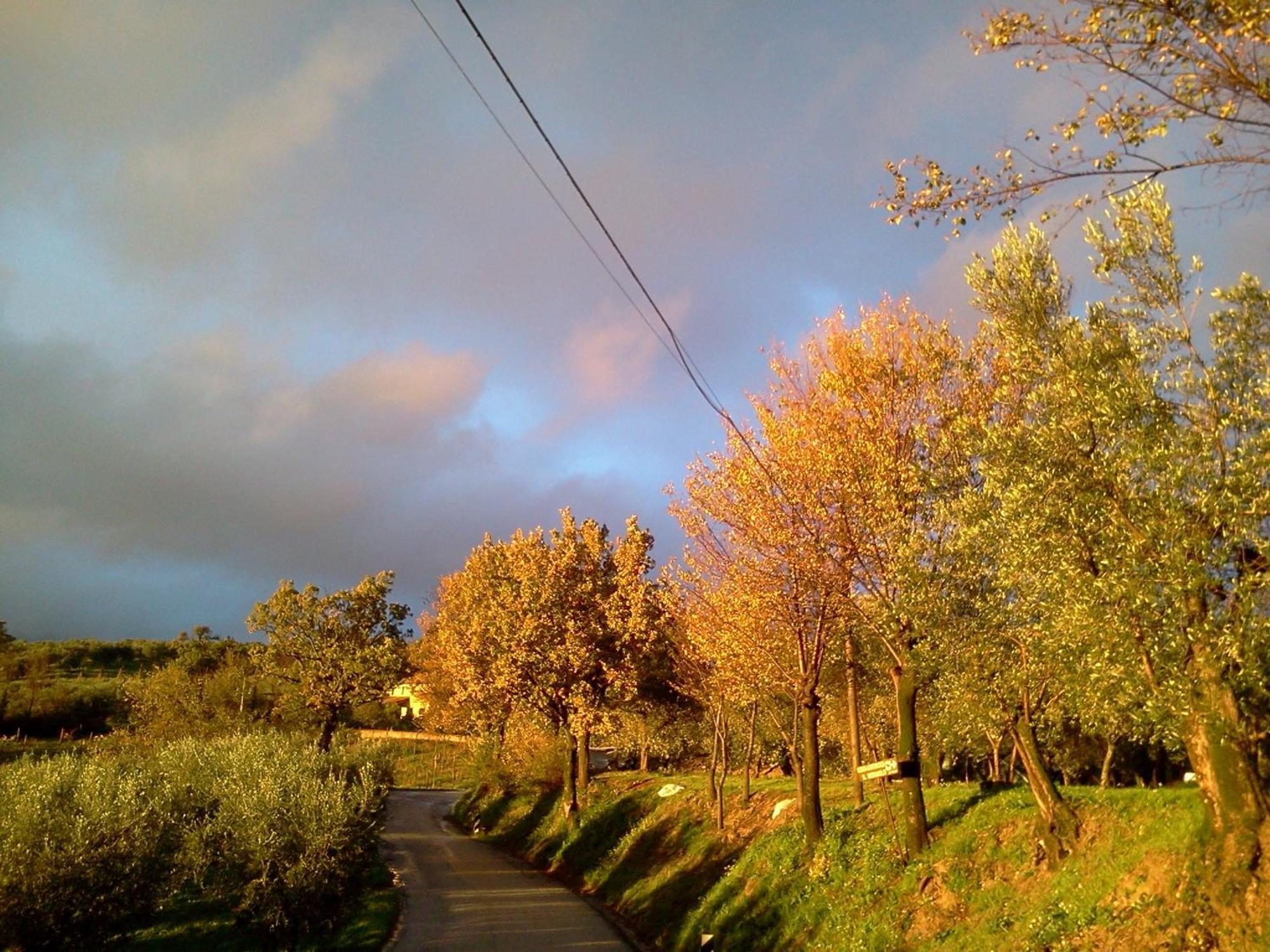 Bauernhof Azienda Agrituristica Il Moraiolo *