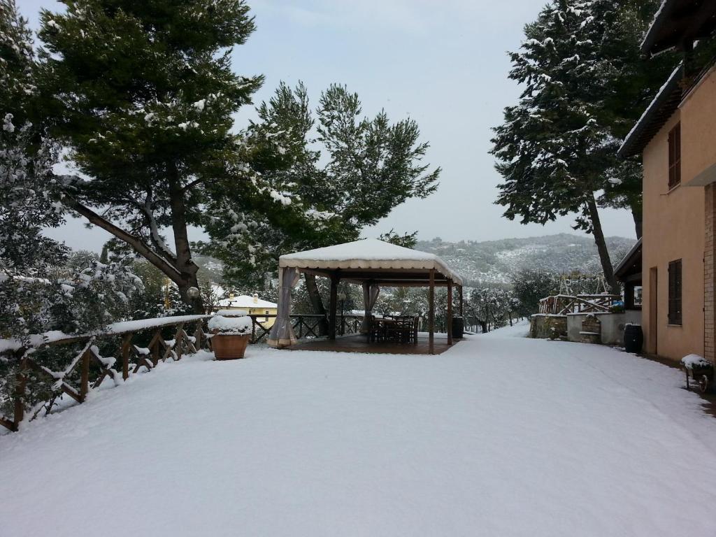 Azienda Agrituristica Il Moraiolo Agroturismo *