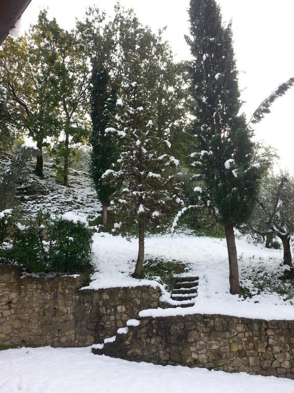 Azienda Agrituristica Il Moraiolo Bauernhof